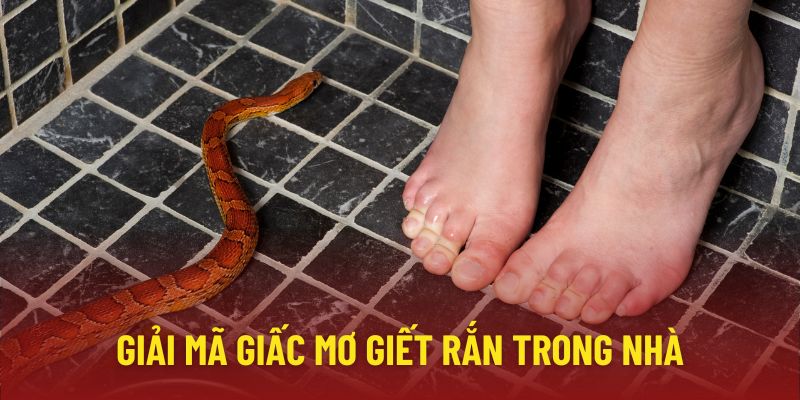 Ngủ mơ thấy giết rắn trong nhà là điềm gì? Đánh con gì