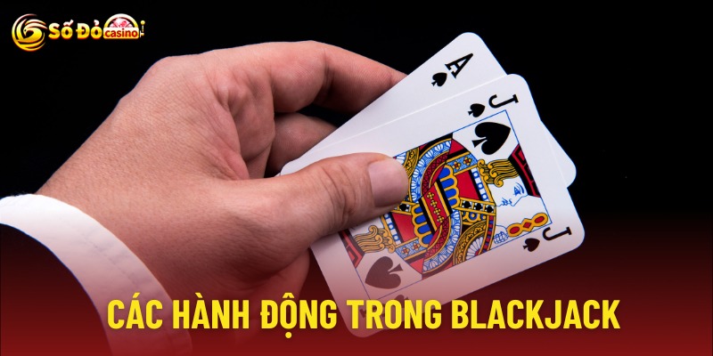 Các hành động của nhà cái và người chơi trong luật chơi blackjack